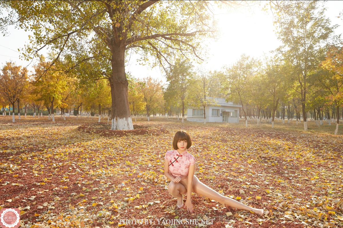 [妖精社] 2021.01.24 T2103《唐飞飞-太极小宗师》