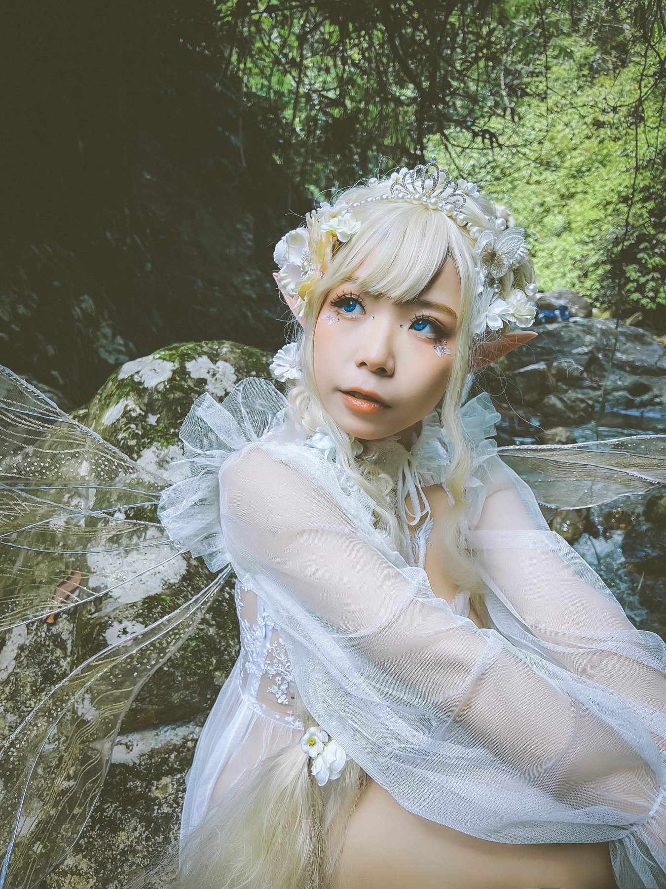 自闭颜球球(无颜小天使wy) - 林中精灵